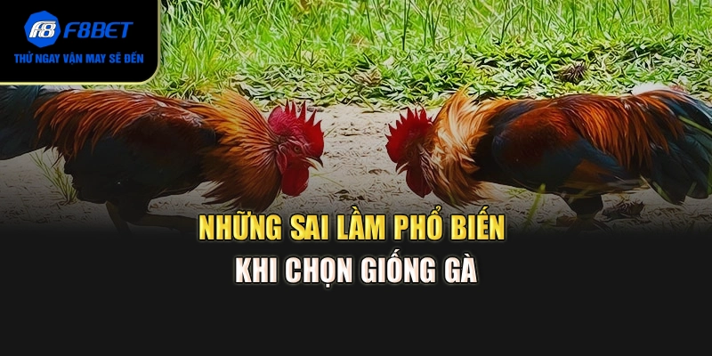 Những sai lầm phổ biến khi chọn giống gà